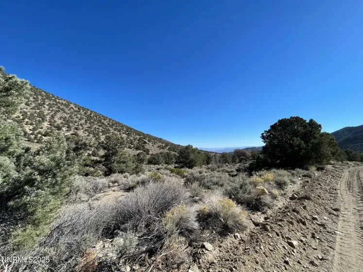 tbd Lucky Boy Pass, Hawthorne, Nevada 89415, ,Land,Residential,Lucky Boy Pass,250058050