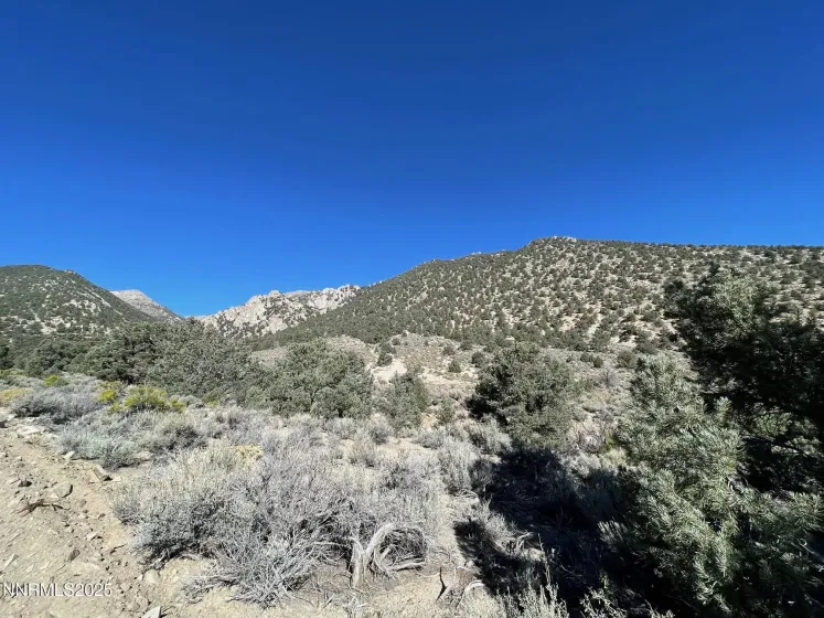 tbd Lucky Boy Pass, Hawthorne, Nevada 89415, ,Land,Residential,Lucky Boy Pass,250058050