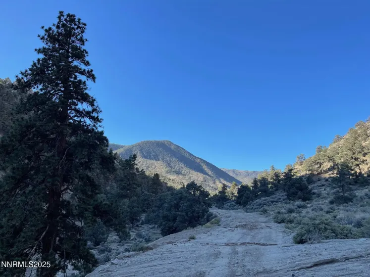 tbd Alum Creek Road, Hawthorne, Nevada 89415, ,Land,Residential,Alum Creek Road,250058052