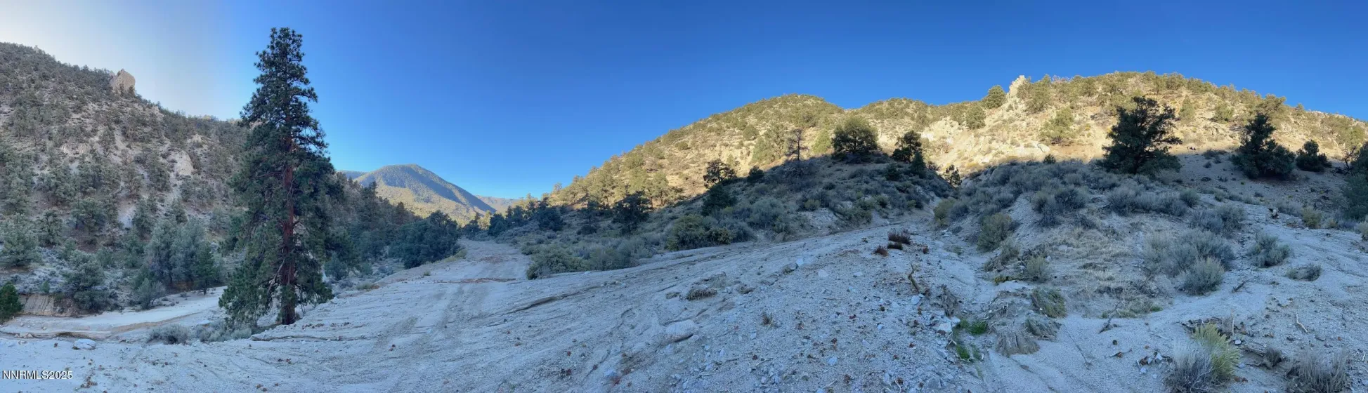 tbd Alum Creek Road, Hawthorne, Nevada 89415, ,Land,Residential,Alum Creek Road,250058052