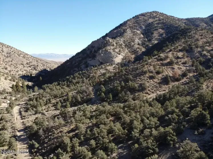 tbd Alum Creek Road, Hawthorne, Nevada 89415, ,Land,Residential,Alum Creek Road,250058052