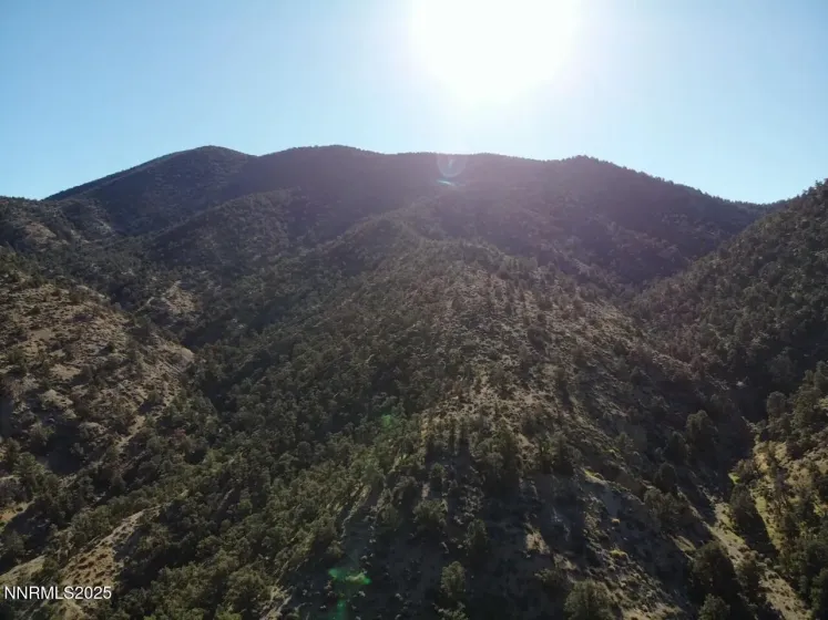 tbd Alum Creek Road, Hawthorne, Nevada 89415, ,Land,Residential,Alum Creek Road,250058052