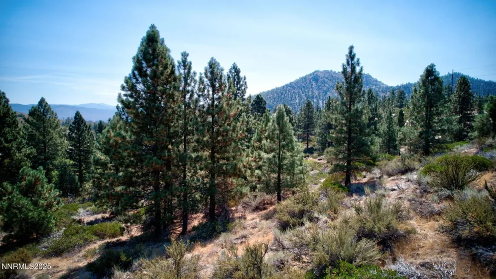 5645 Us Highway 50, Carson City, Nevada 89701, ,Land,Residential,Us Highway 50,250058059