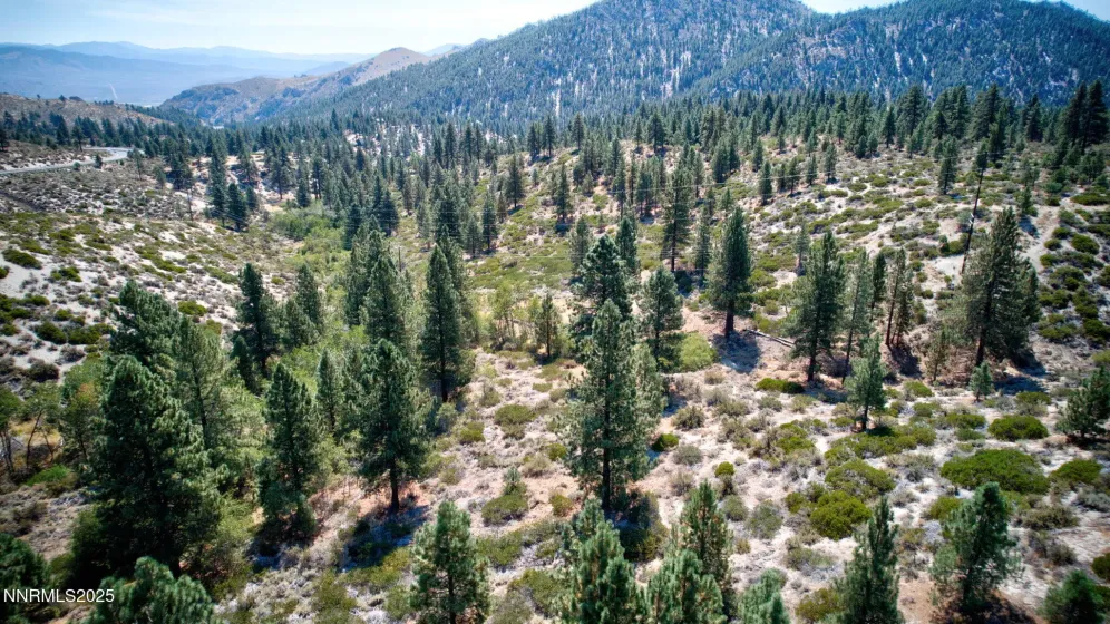 5645 Us Highway 50, Carson City, Nevada 89701, ,Land,Residential,Us Highway 50,250058059