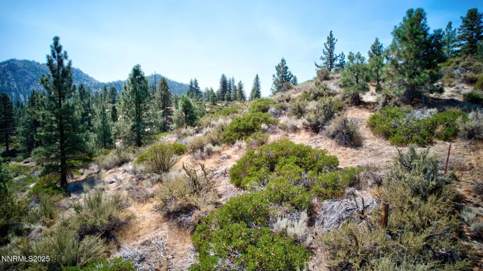 5645 Us Highway 50, Carson City, Nevada 89701, ,Land,Residential,Us Highway 50,250058059