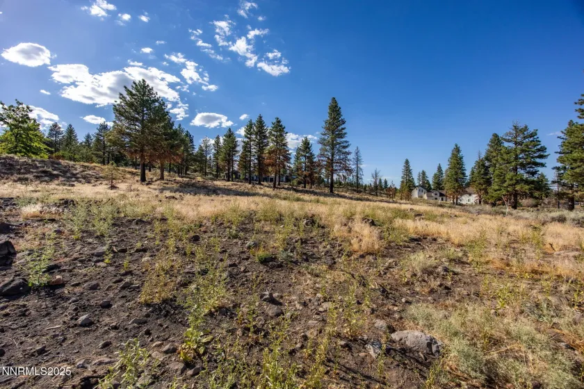 485 Mt Mahogany, Reno, Nevada 89511, ,Land,Residential,Mt Mahogany,250054456
