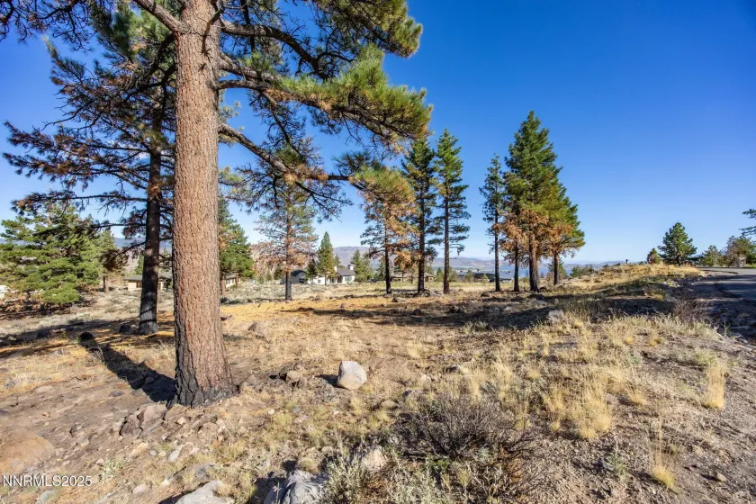 485 Mt Mahogany, Reno, Nevada 89511, ,Land,Residential,Mt Mahogany,250054456