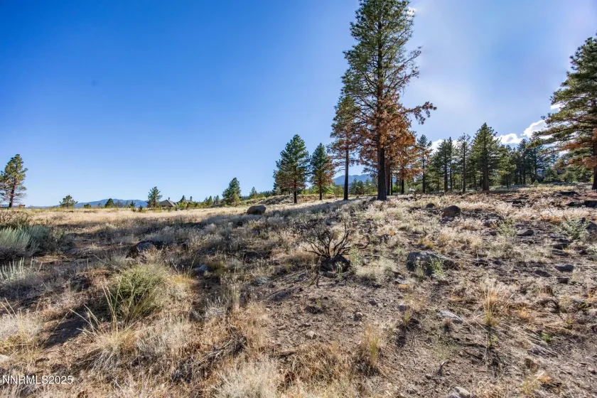 485 Mt Mahogany, Reno, Nevada 89511, ,Land,Residential,Mt Mahogany,250054456