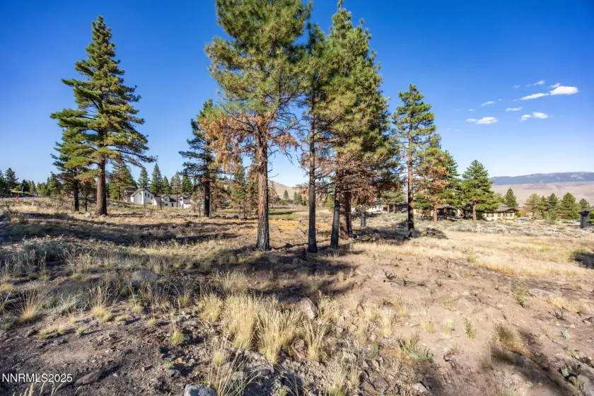 485 Mt Mahogany, Reno, Nevada 89511, ,Land,Residential,Mt Mahogany,250054456