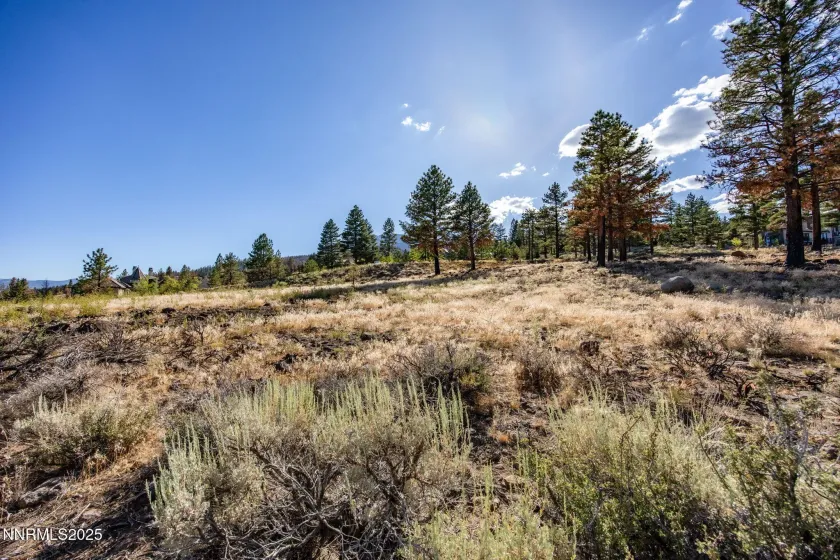 485 Mt Mahogany, Reno, Nevada 89511, ,Land,Residential,Mt Mahogany,250054456