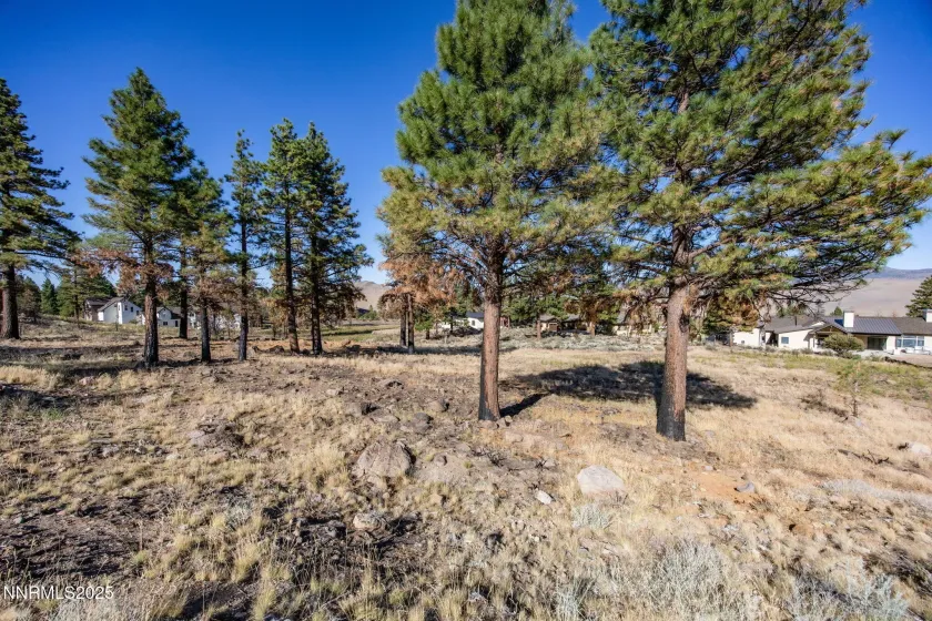 485 Mt Mahogany, Reno, Nevada 89511, ,Land,Residential,Mt Mahogany,250054456