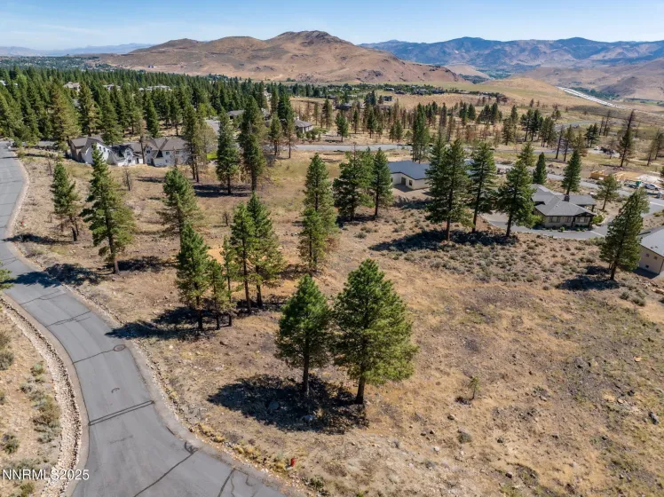 485 Mt Mahogany, Reno, Nevada 89511, ,Land,Residential,Mt Mahogany,250054456