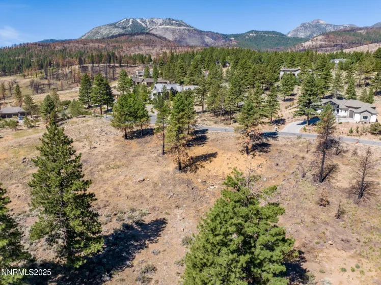 485 Mt Mahogany, Reno, Nevada 89511, ,Land,Residential,Mt Mahogany,250054456