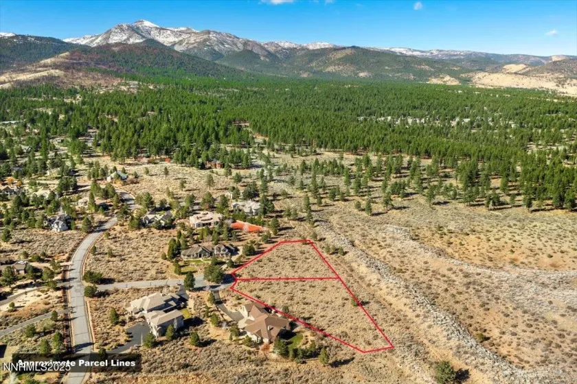 205 Paddington, Reno, Nevada 89511, ,Land,Residential,Paddington,250058131