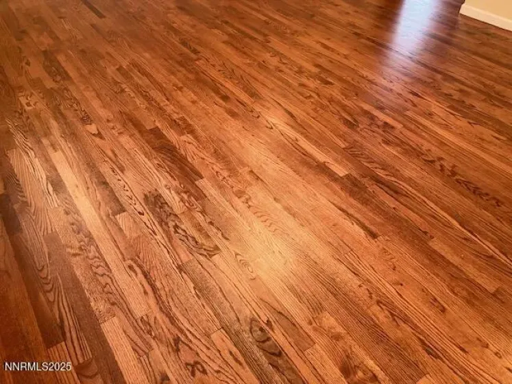 255 Circle, Reno, Nevada 89509, 3 Bedrooms Bedrooms, ,2 BathroomsBathrooms,Residential,Residential,Circle,250058137