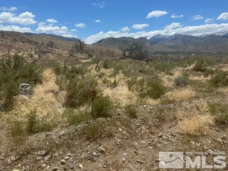 865 Eastside, Coleville, California 96107, ,Land,Residential,Eastside,250005881