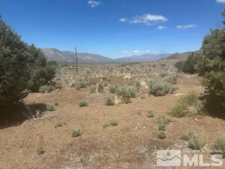 865 Eastside, Coleville, California 96107, ,Land,Residential,Eastside,250005881