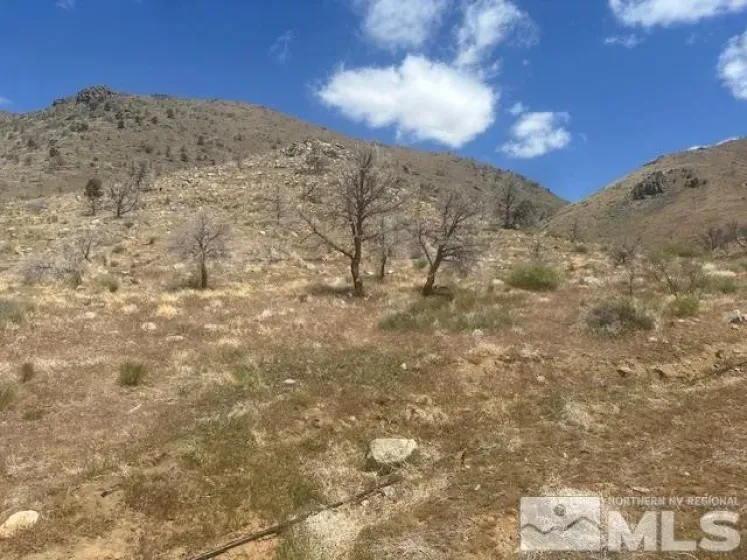 865 Eastside, Coleville, California 96107, ,Land,Residential,Eastside,250005881