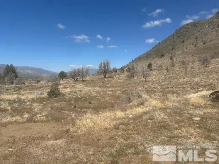 865 Eastside, Coleville, California 96107, ,Land,Residential,Eastside,250005881