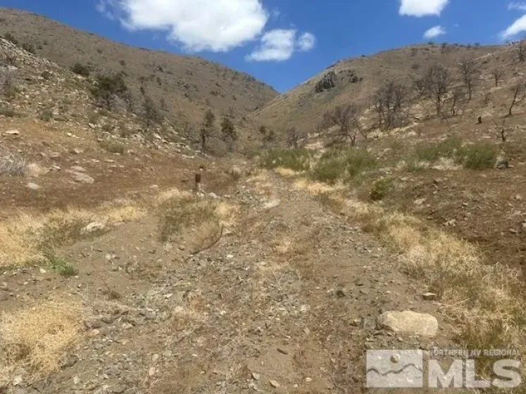 865 Eastside, Coleville, California 96107, ,Land,Residential,Eastside,250005881