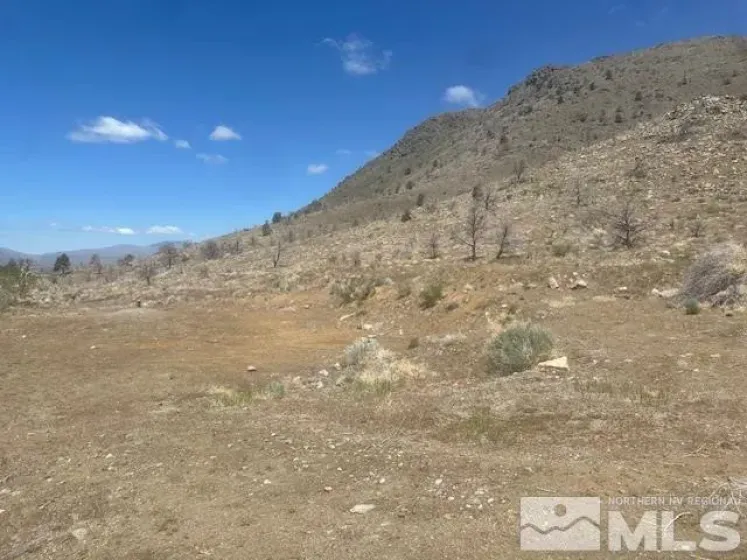 865 Eastside, Coleville, California 96107, ,Land,Residential,Eastside,250005881