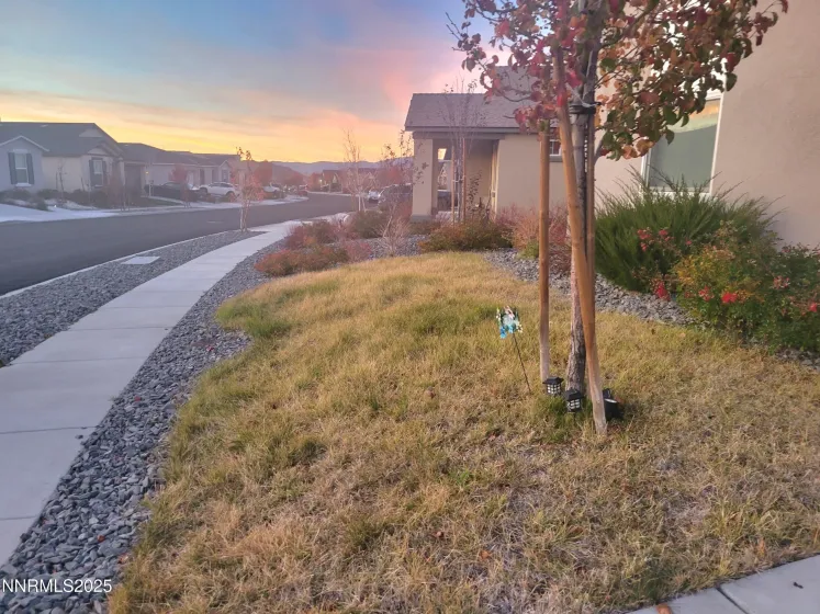 7266 Overture, Reno, Nevada 89506, 3 Bedrooms Bedrooms, ,2 BathroomsBathrooms,Residential,Residential,Overture,250058152