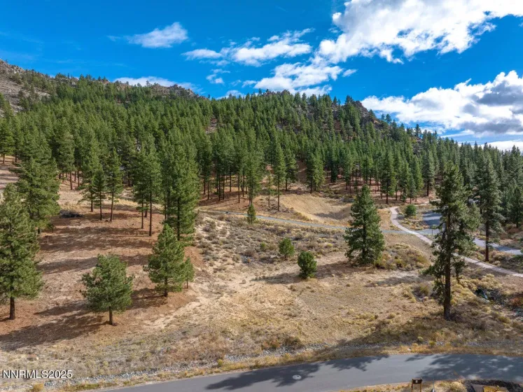 569 Headwaters, Carson City, Nevada 89705, ,Land,Residential,Headwaters,250058191