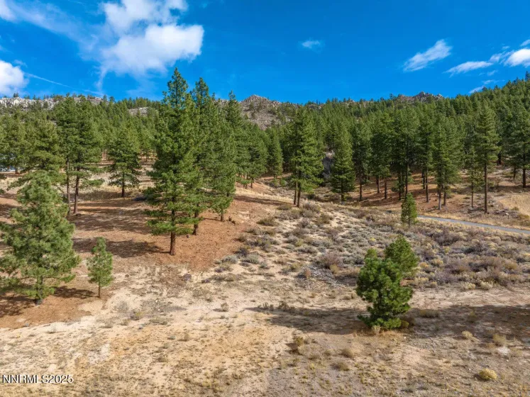 569 Headwaters, Carson City, Nevada 89705, ,Land,Residential,Headwaters,250058191