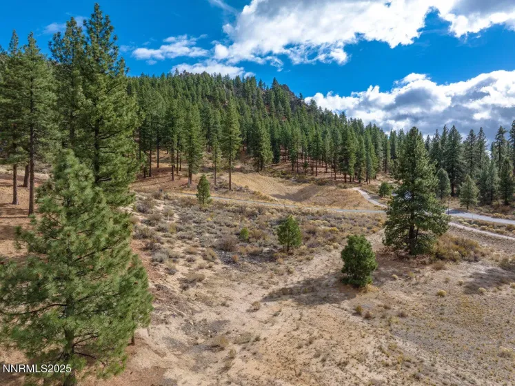 569 Headwaters, Carson City, Nevada 89705, ,Land,Residential,Headwaters,250058191