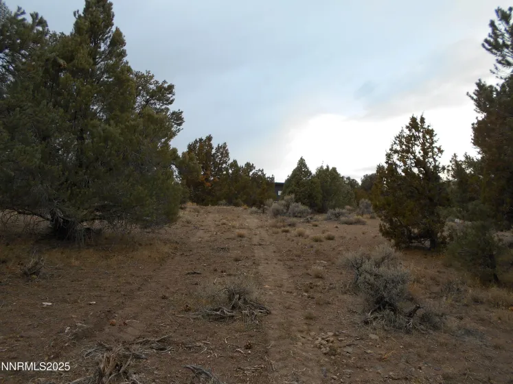 21855 Adobe, Reno, Nevada 89521, ,Land,Residential,Adobe,250058209