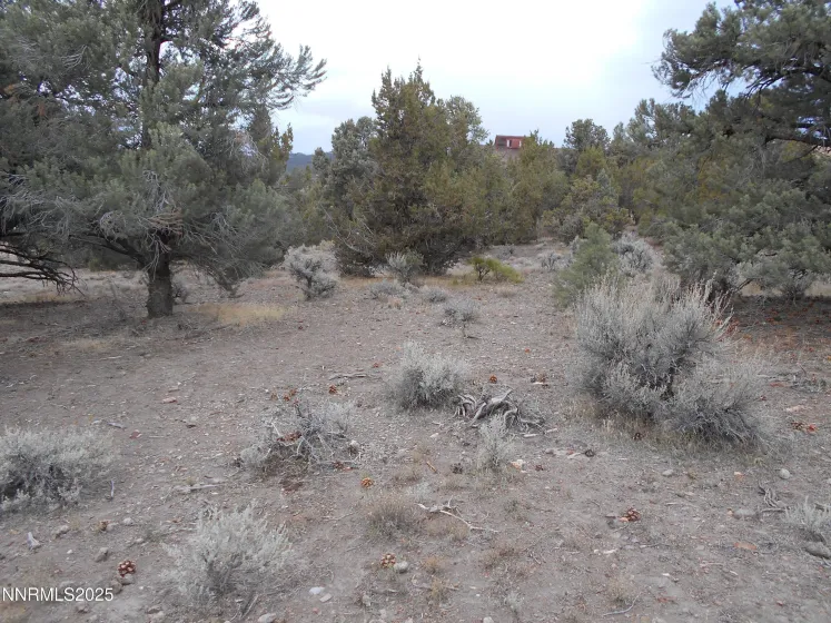 21855 Adobe, Reno, Nevada 89521, ,Land,Residential,Adobe,250058209