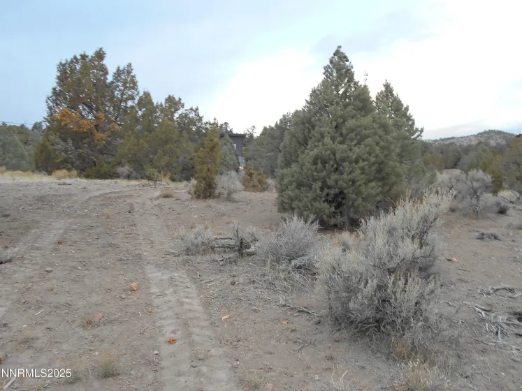 21855 Adobe, Reno, Nevada 89521, ,Land,Residential,Adobe,250058209