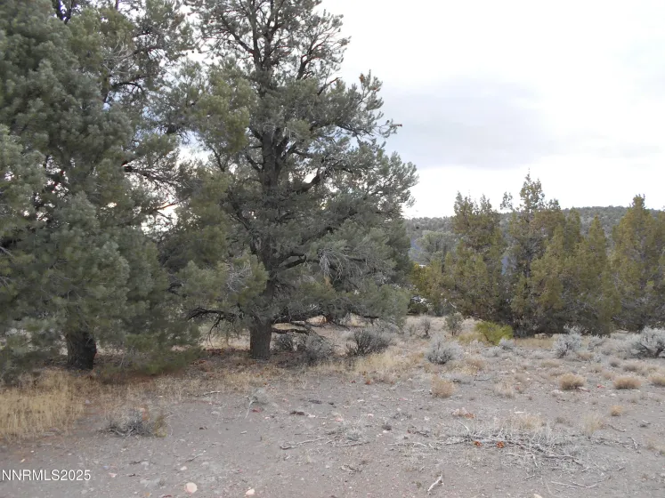 21855 Adobe, Reno, Nevada 89521, ,Land,Residential,Adobe,250058209