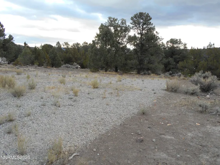 21855 Adobe, Reno, Nevada 89521, ,Land,Residential,Adobe,250058209