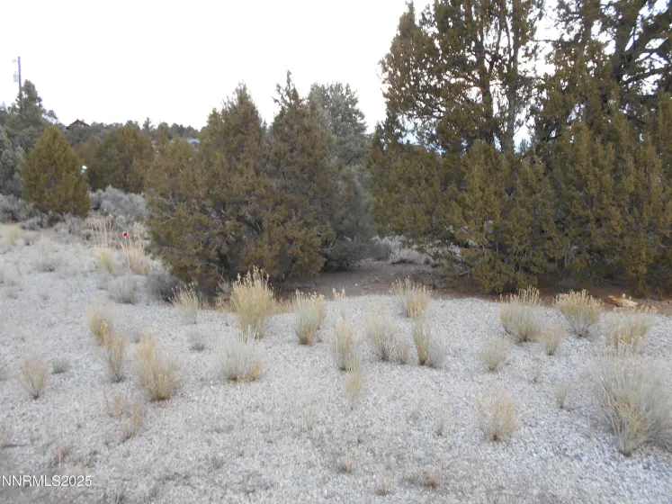 21855 Adobe, Reno, Nevada 89521, ,Land,Residential,Adobe,250058209