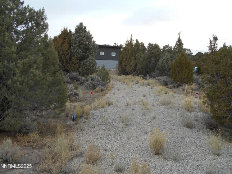 21855 Adobe, Reno, Nevada 89521, ,Land,Residential,Adobe,250058209