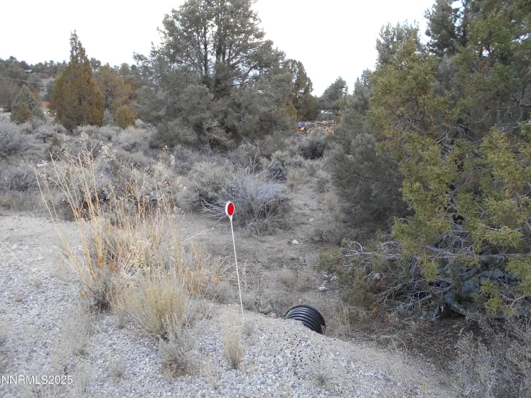 21855 Adobe, Reno, Nevada 89521, ,Land,Residential,Adobe,250058209