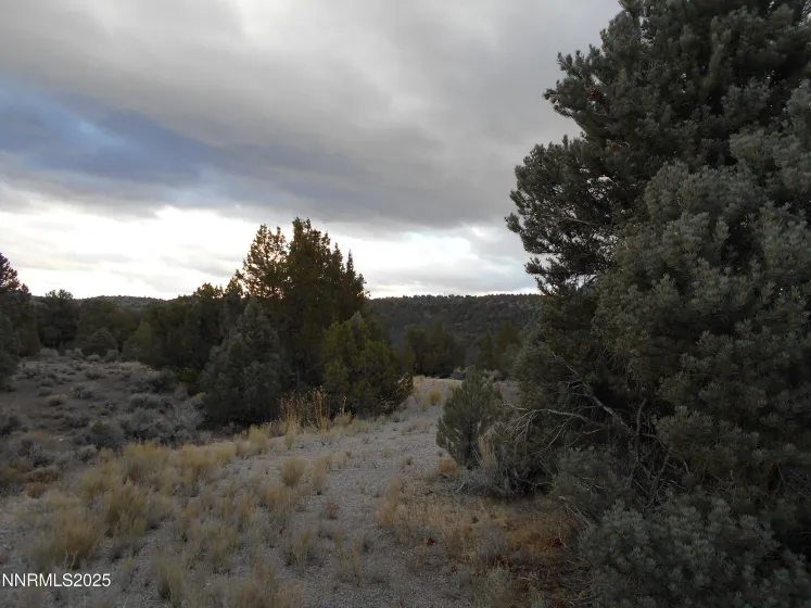 21855 Adobe, Reno, Nevada 89521, ,Land,Residential,Adobe,250058209