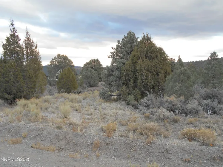 21855 Adobe, Reno, Nevada 89521, ,Land,Residential,Adobe,250058209