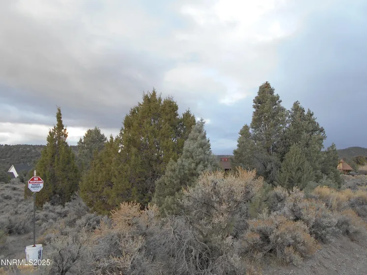 21855 Adobe, Reno, Nevada 89521, ,Land,Residential,Adobe,250058209