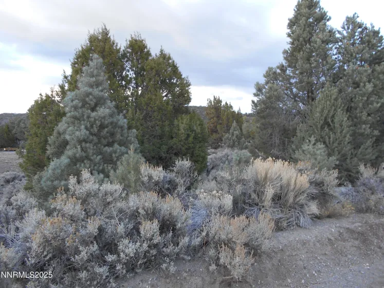 21855 Adobe, Reno, Nevada 89521, ,Land,Residential,Adobe,250058209