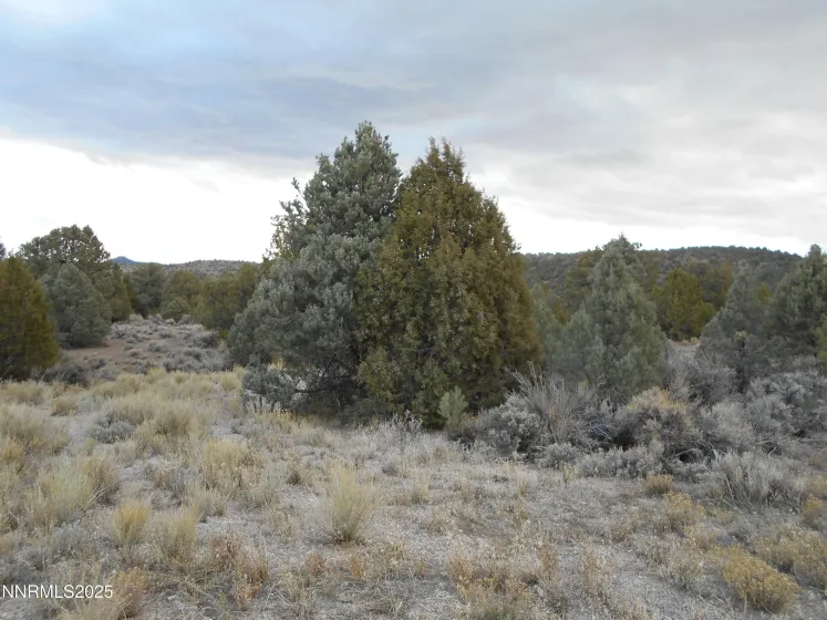 21855 Adobe, Reno, Nevada 89521, ,Land,Residential,Adobe,250058209