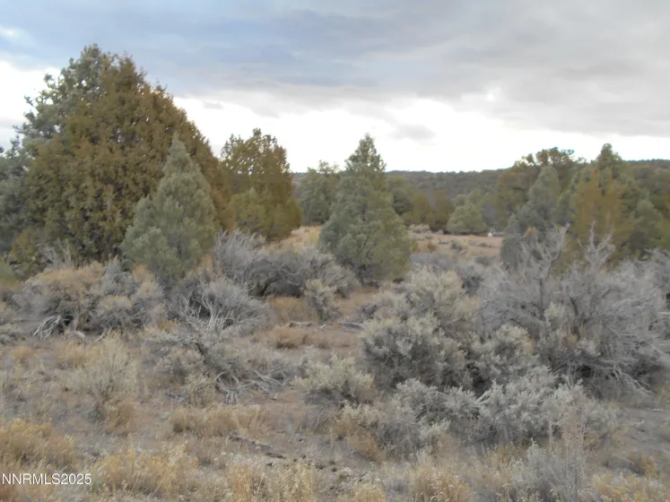 21855 Adobe, Reno, Nevada 89521, ,Land,Residential,Adobe,250058209