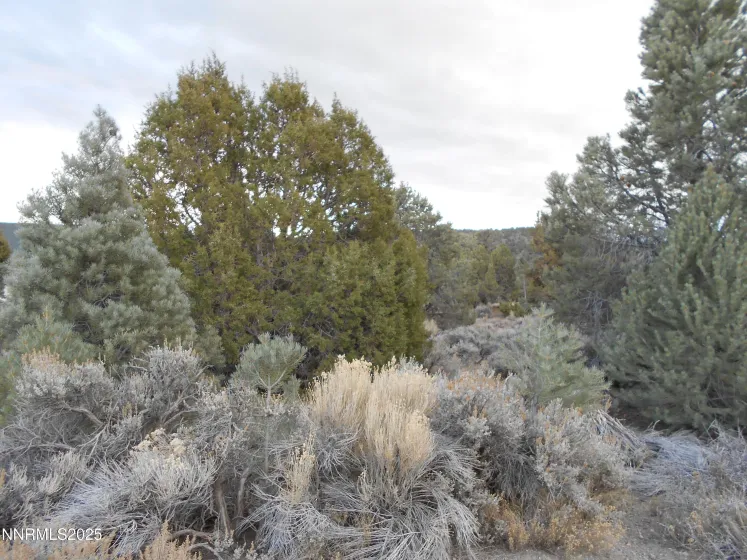 21855 Adobe, Reno, Nevada 89521, ,Land,Residential,Adobe,250058209