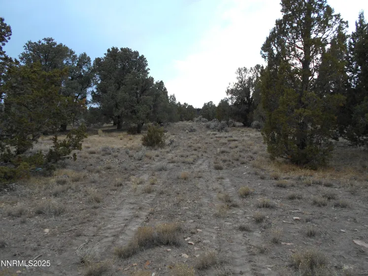 21855 Adobe, Reno, Nevada 89521, ,Land,Residential,Adobe,250058209