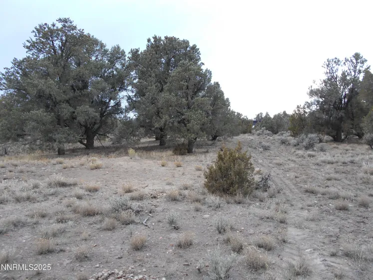 21855 Adobe, Reno, Nevada 89521, ,Land,Residential,Adobe,250058209
