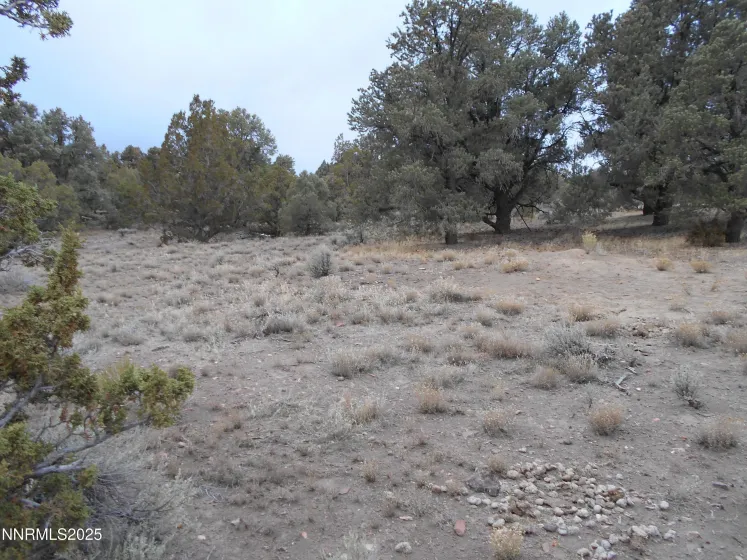 21855 Adobe, Reno, Nevada 89521, ,Land,Residential,Adobe,250058209
