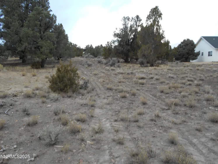21855 Adobe, Reno, Nevada 89521, ,Land,Residential,Adobe,250058209