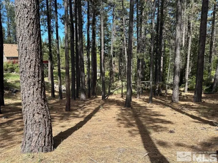 546 Pleasant Valley, Markleeville, California 96120, ,Land,Residential,Pleasant Valley,250006267