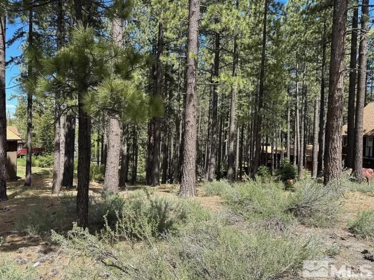 546 Pleasant Valley, Markleeville, California 96120, ,Land,Residential,Pleasant Valley,250006267